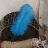 Ostrich feather 45cm, various color, for hat