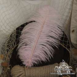 Ostrich feather 45cm, various color, for hat